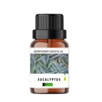 Essential Oils - Eucalyptus
